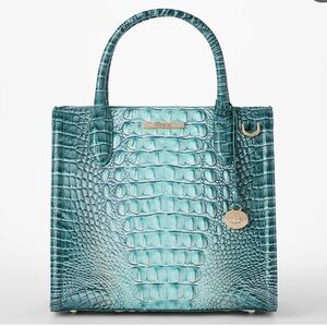 Small Caroline Leather Satchel |
Spearmint Ombre Melbourne